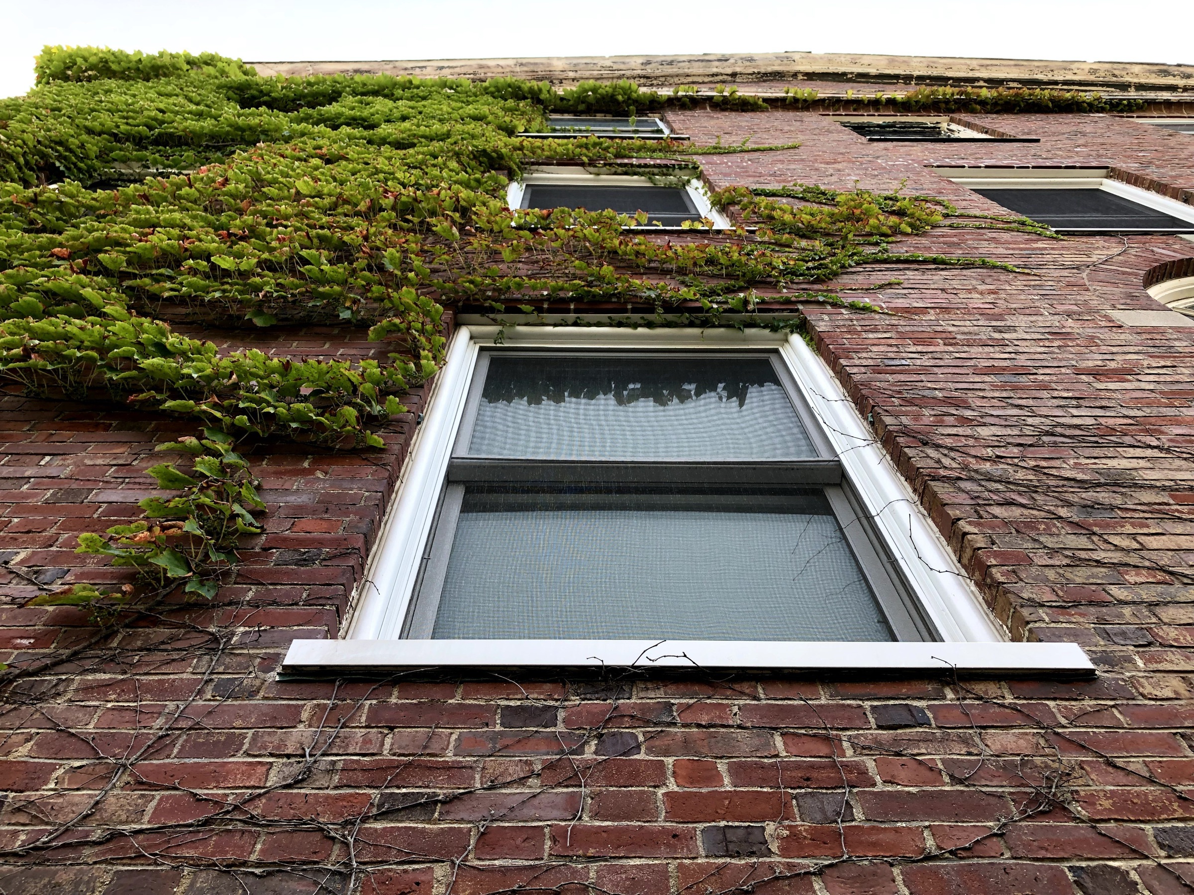 Coastal Laboratory Window Replacement
