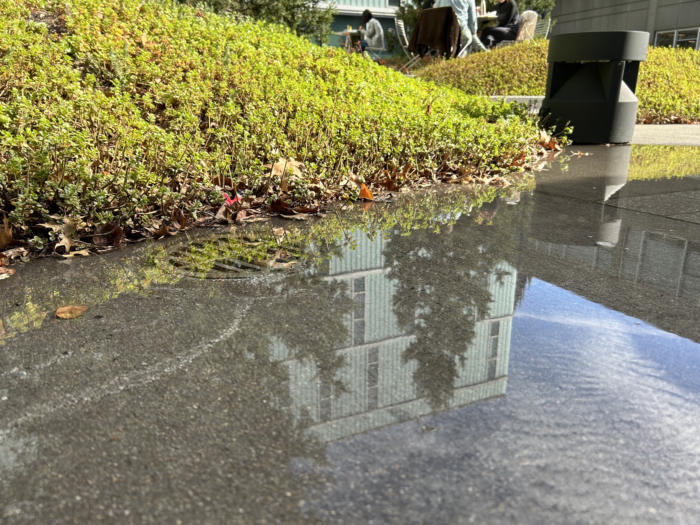 Plaza Courtyard Waterproofing Repairs