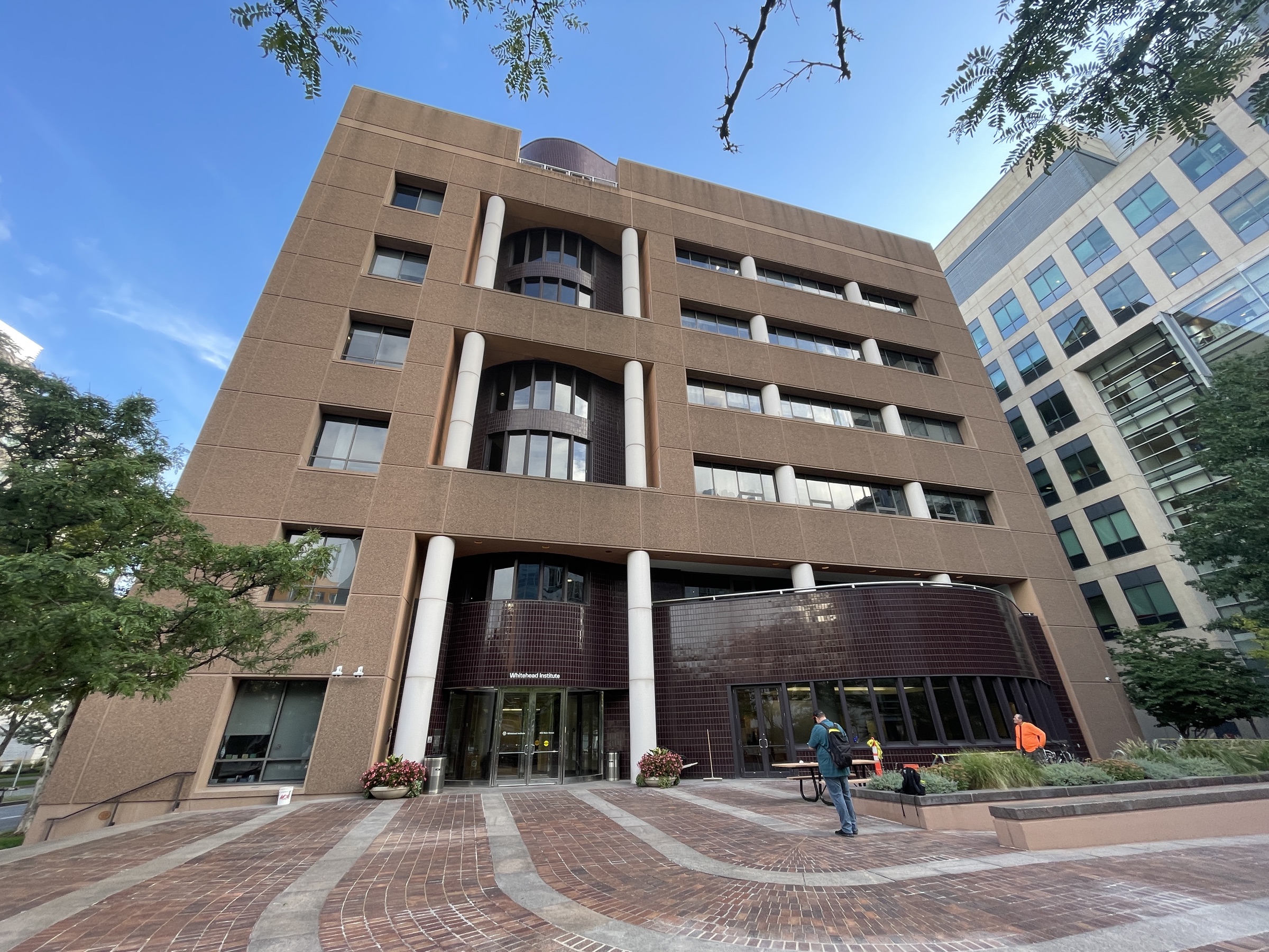 Whitehead Institute