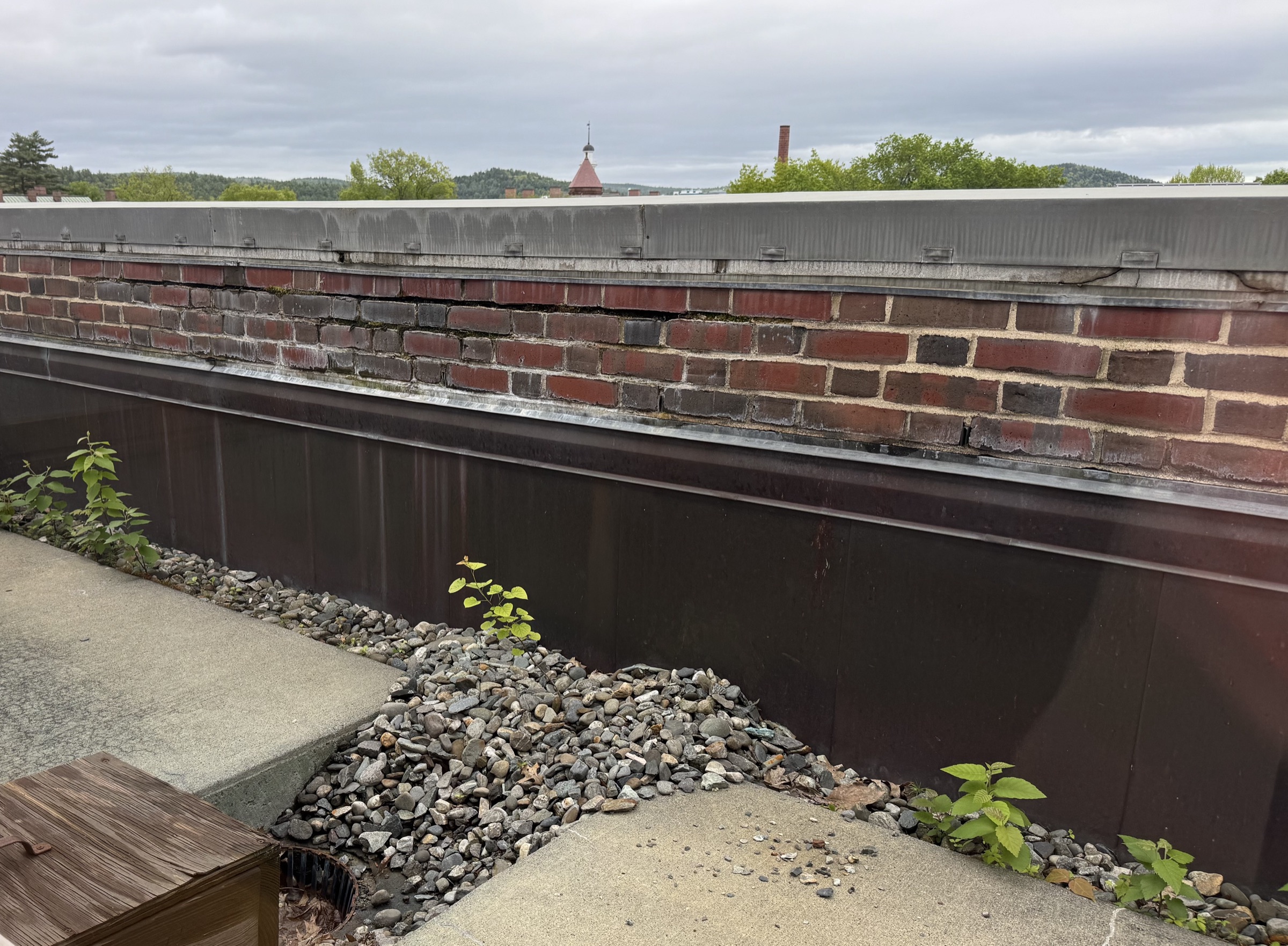 Library Roof